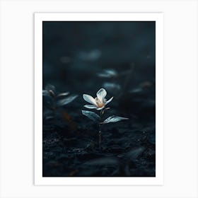 Flower In The Dark 33 Art Print