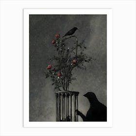 Bird In A Cage 1 Art Print