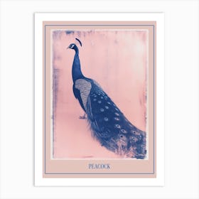 Pink & Blue Peacock Cyanotype Style 5 Poster Art Print