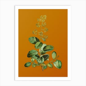 Vintage European Smoketree Botanical on Sunset Orange n.0960 Art Print