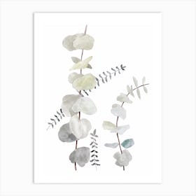 Botanical Illustration Plant Mix1 Art Print