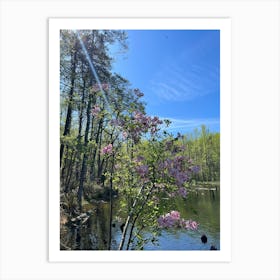 What Looks Like a Rhododendron Art Print