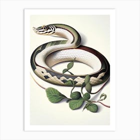 Eastern Ribbon Snake Vintage Art Print