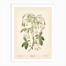 Yukiyanagi Snowdrop 1 Vintage Japanese Botanical Poster Art Print