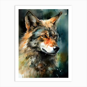 Coyote animal Art Print