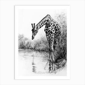 Giraffe Drinking Out Of A Watering Hole 2 Art Print