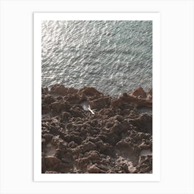 Sunny Sea With Rocks Art Print