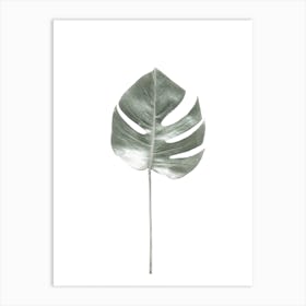 Tropical Monstera Leaf Art Print