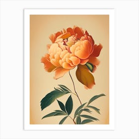 Single Stem Of Peony Orange 3 Vintage Sketch Art Print