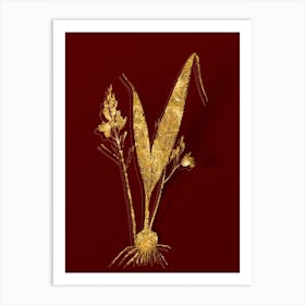 Vintage Pine Pink Botanical in Gold on Red n.0008 Art Print