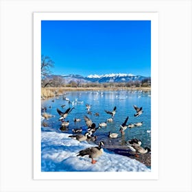 A Detailed Wildlife Scene Featuring A Flock Of Wild Geese Interspersed With Ducks In A Chilly Winter Art Print