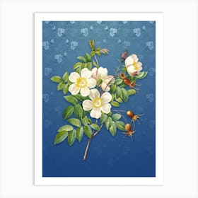 Vintage White Candolle Rose Botanical on Bahama Blue Pattern n.0836 Art Print