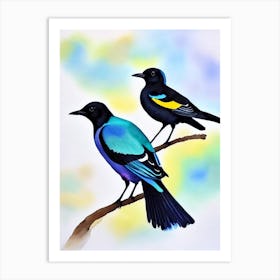 Magpie 2 Watercolour Bird Art Print