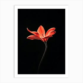 Single Red Flower Art Print