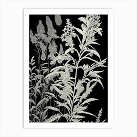 Goldenrod Wildflower Linocut 2 Art Print