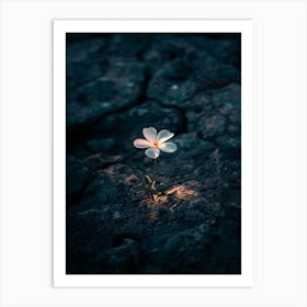 Flower In The Dark 97 Art Print