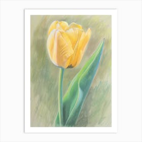 Yellow Tulip Art Print