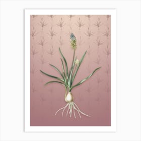 Vintage Muscari Ambrosiacum Botanical on Dusty Pink Pattern n.0508 Art Print