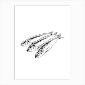 Sardines. Uk Art Print