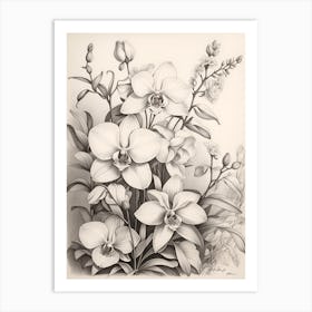 Orchids 2 Art Print