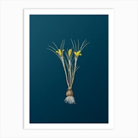 Vintage Cloth of Gold Crocus Botanical Art on Teal Blue n.0070 Art Print