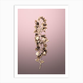 Gold Botanical Cuspidate Rose on Rose Quartz n.4559 Art Print