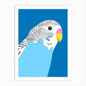 Blue Budgie Art Print