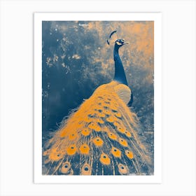 Blue & Orange Peacock In The Wild 4 Art Print