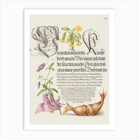 Cowslip, European Columbine, And Giant Filbert From Mira Calligraphiae Monumenta, Joris Hoefnagel Art Print