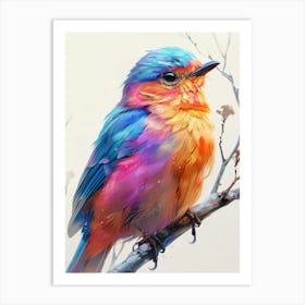 Colorful Bird 8 Art Print