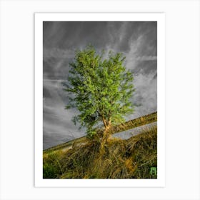 Lone Tree 20230506191767rt1pub Art Print