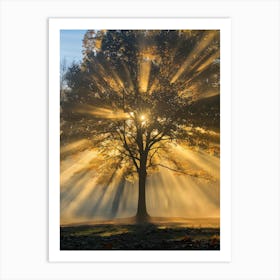 Sunrise Over A Tree 3 Art Print