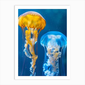 Jellyfishes 2 Art Print