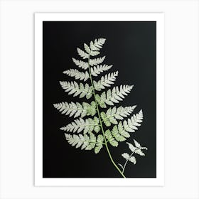 Pattern Poster Silver Lace Fern 3 Art Print