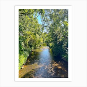 Stream In A Forest Art Print