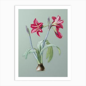 Vintage Brazilian Amaryllis Botanical Art on Mint Green n.0750 Art Print