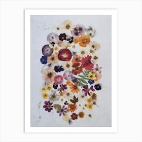 Pressed Poppies Art Print