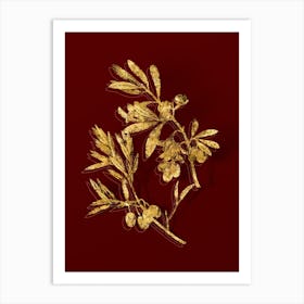 Vintage Olive Botanical in Gold on Red n.0528 Art Print