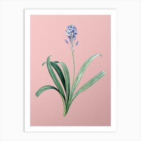 Vintage Spanish Bluebell Botanical on Soft Pink n.0789 Art Print