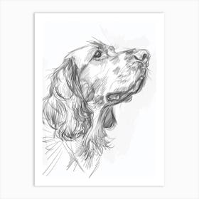 Irish Setter Dog Charcoal Line 3 Art Print