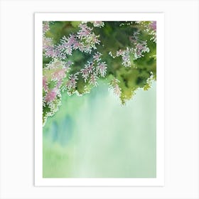 Acropora Hoeksemai Ii Storybook Watercolour Art Print