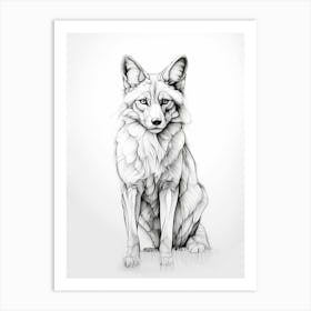 Corsac Fox Line Drawing 2 Art Print