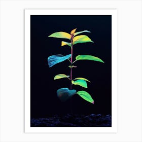 Neon Plant 16 Art Print