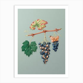 Vintage Summer Grape Botanical Art on Mint Green n.0414 Art Print