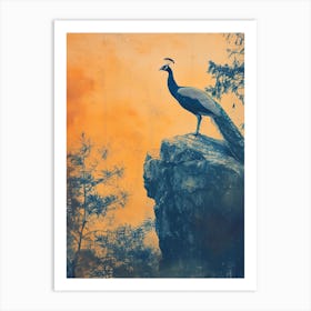 Orange & Blue Peacock On A Rock 2 Art Print