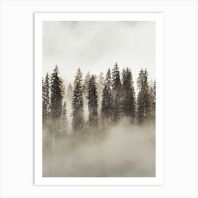 Misty Evergreen Trees Art Print