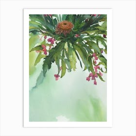 Red Waratah Anemone Storybook Watercolour Art Print