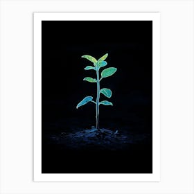 Young Plant On Black Background Art Print