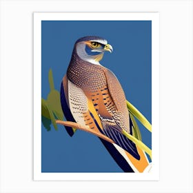 Eurasian Sparrowhawk Pop Matisse Bird Art Print