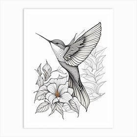 Fiery Throated Hummingbird William Morris Line Drawing Art Print